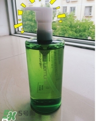 ֲ�����ʺ�ʲô����Σ�ֲ�����ʺ�ʲô����